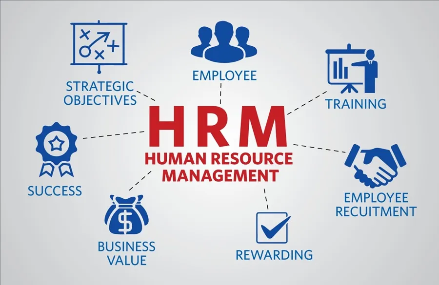 Streamline Your Business with Human Resource Management Software